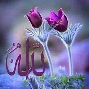 Meet your Posher, Mohammed